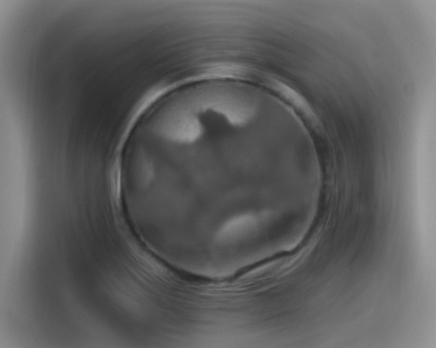 X0000115491275200911131228