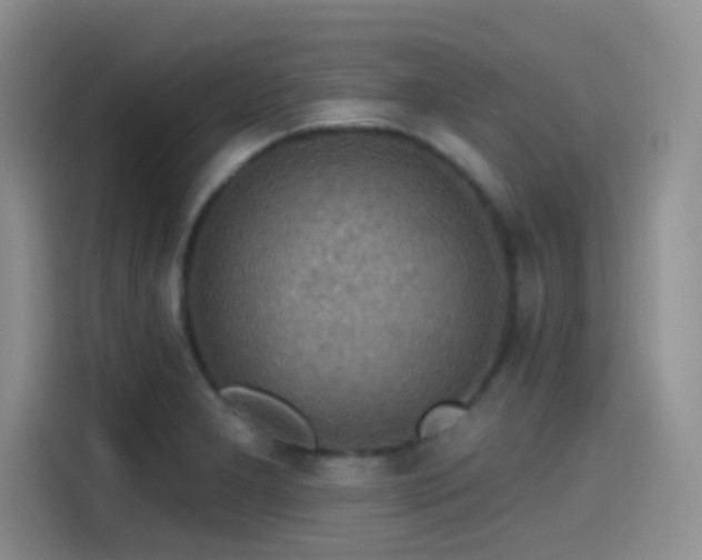 X0000115491277200911131228