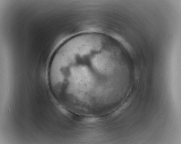X0000115491278200911131228