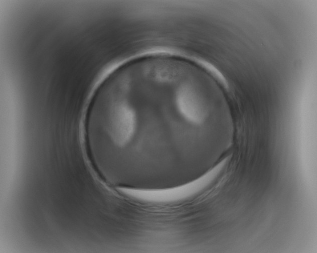 X0000115491279200911131228