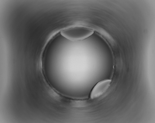 X0000115491280200911131228