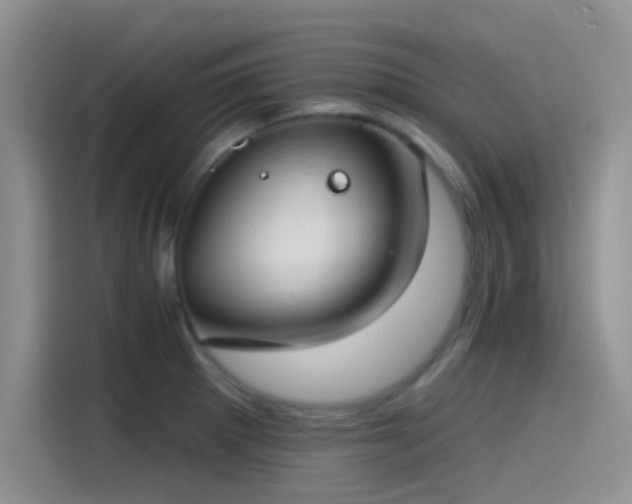X0000115491281200911131228