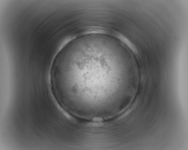 X0000115491282200911131228