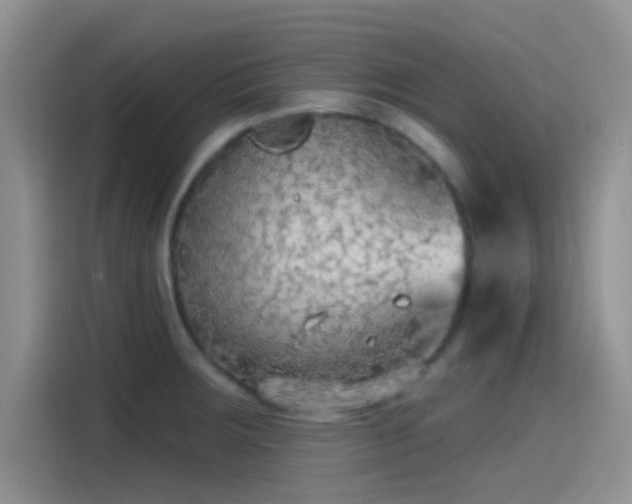 X0000115491283200911131228