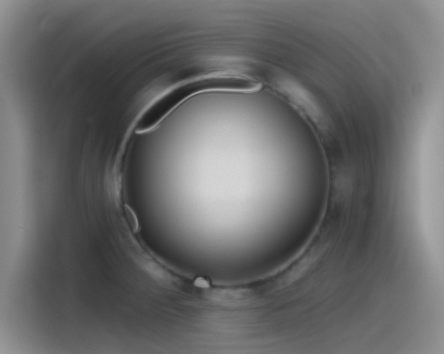 X0000115491284200911131228
