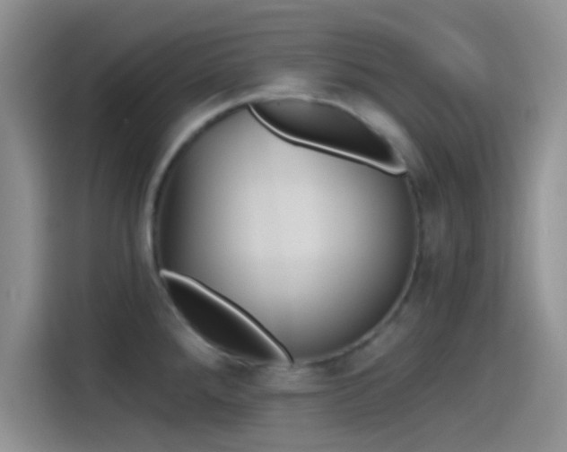 X0000115491288200911131228