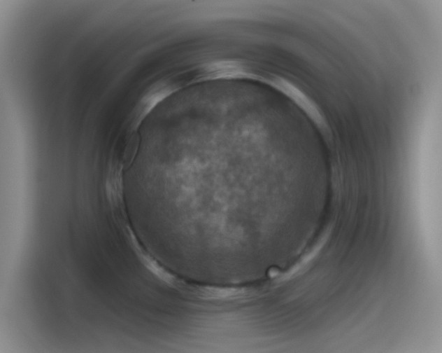 X0000115491289200911131228