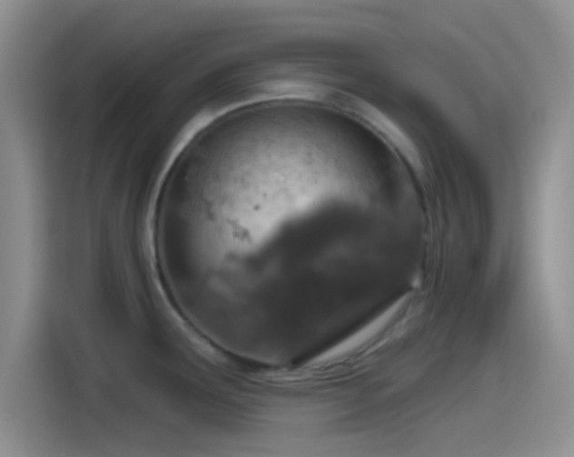 X0000115491291200911131228