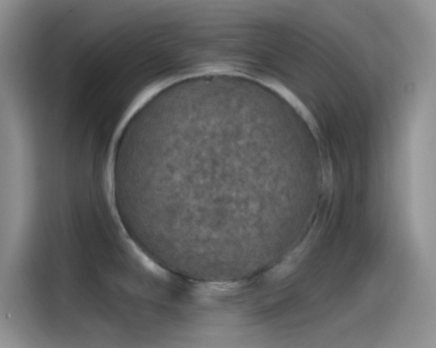 X0000115491294200911131228