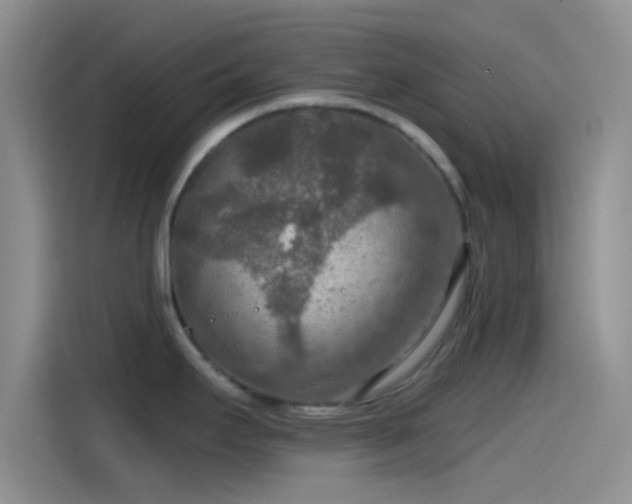 X0000115491295200911131228