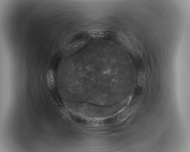 X0000115491298200911131227