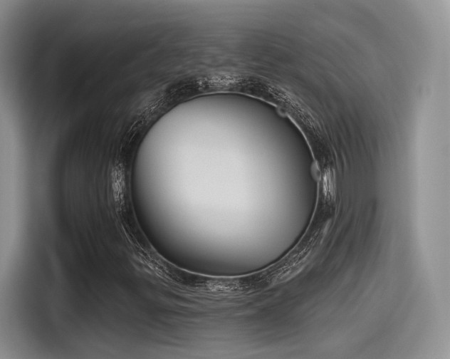 X0000115491299200911131227