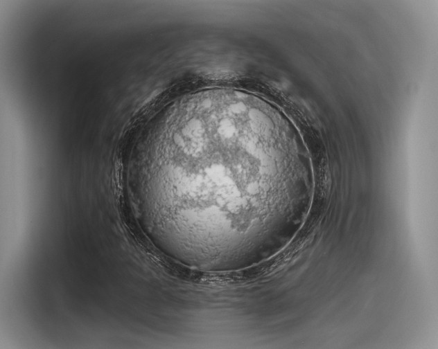 X0000115491301200911131227