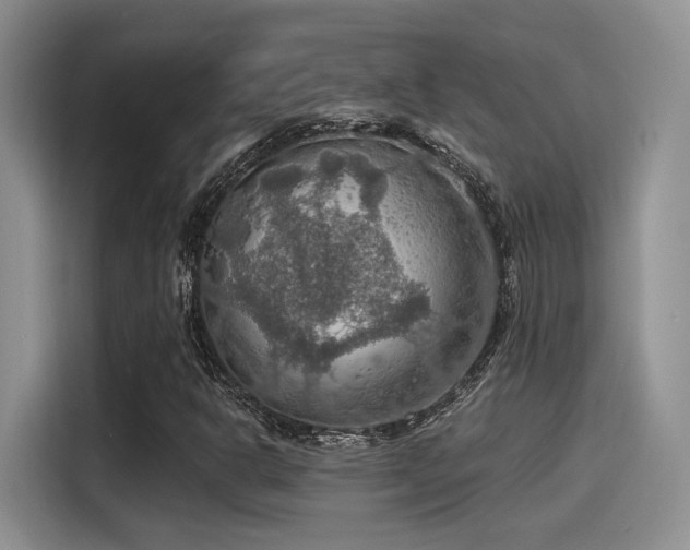 X0000115491302200911131227