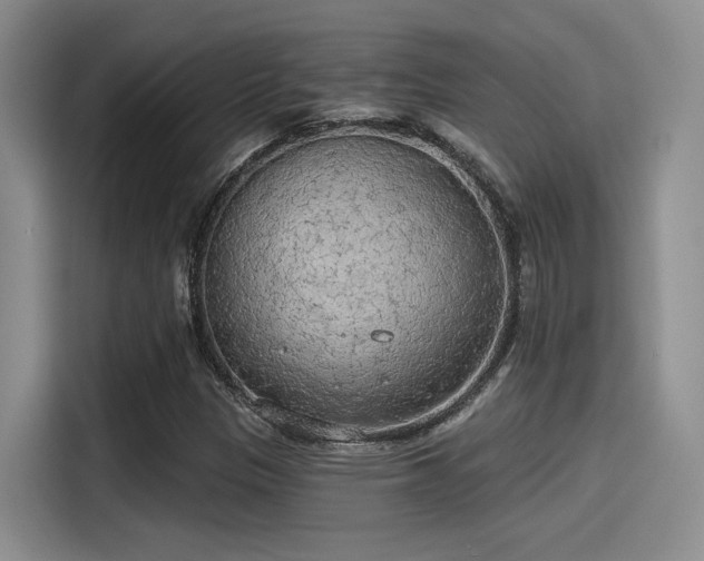 X0000115491305200911131227