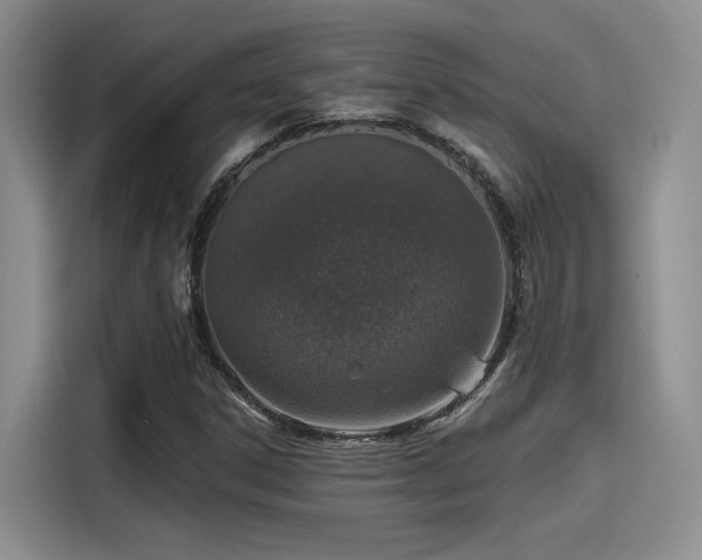 X0000115491306200911131227