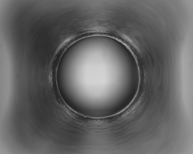 X0000115491307200911131227