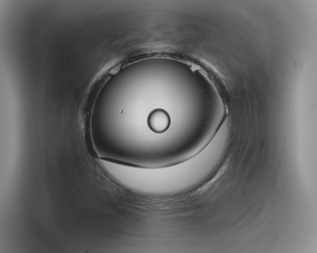 X0000115491309200911131227