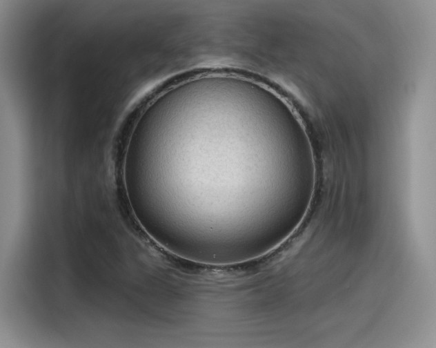 X0000115491311200911131227