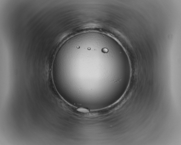 X0000115491313200911131227