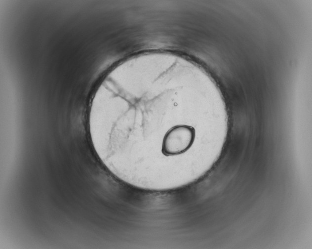X0000115491314200911131227