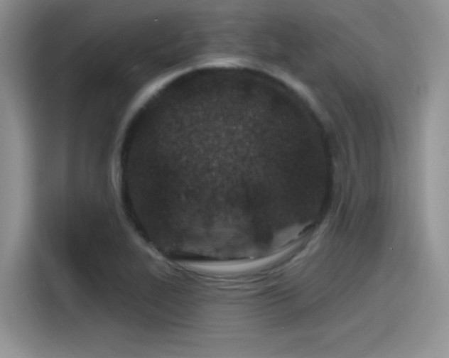 X0000115491319200911131227