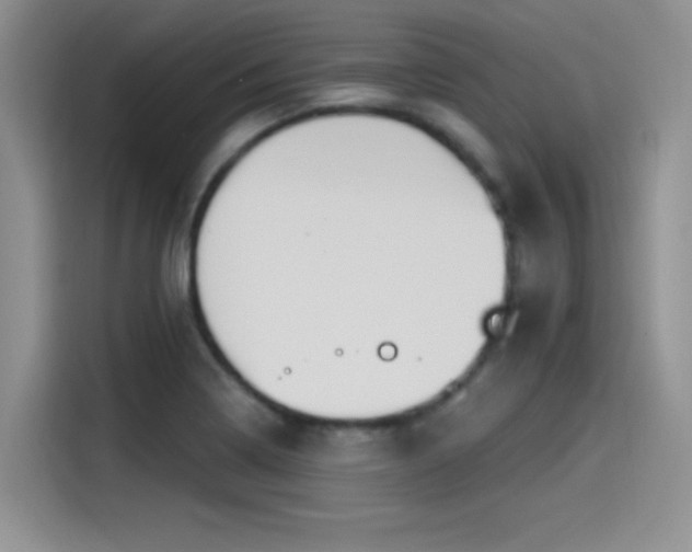 X0000115491322200911131228
