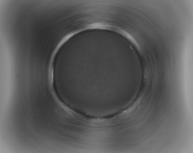 X0000115491323200911131228
