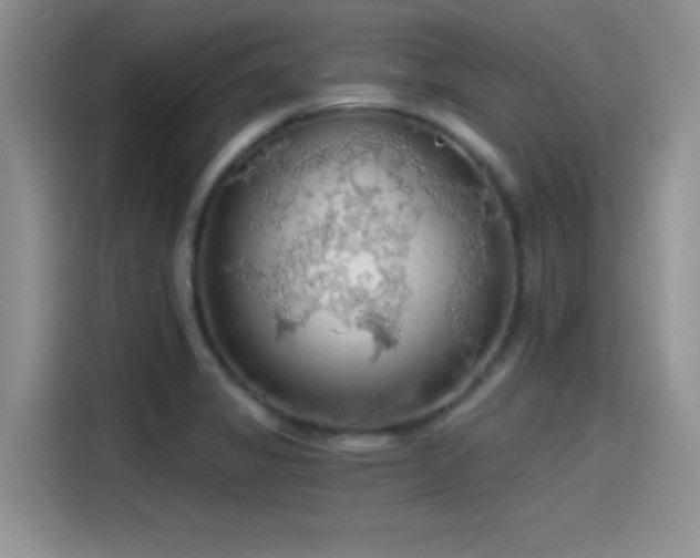X0000115491325200911131228