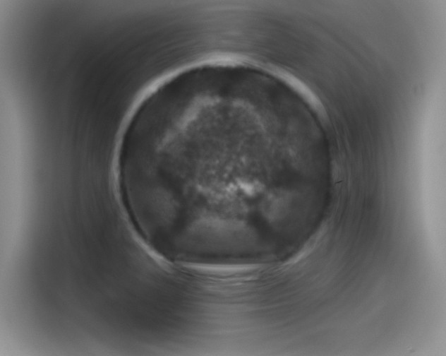 X0000115491327200911131228