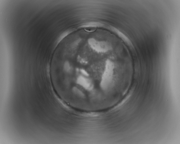 X0000115491329200911131228