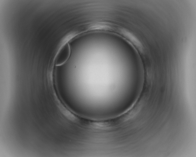 X0000115491330200911131228