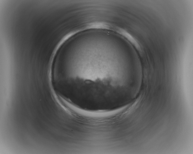 X0000115491331200911131228
