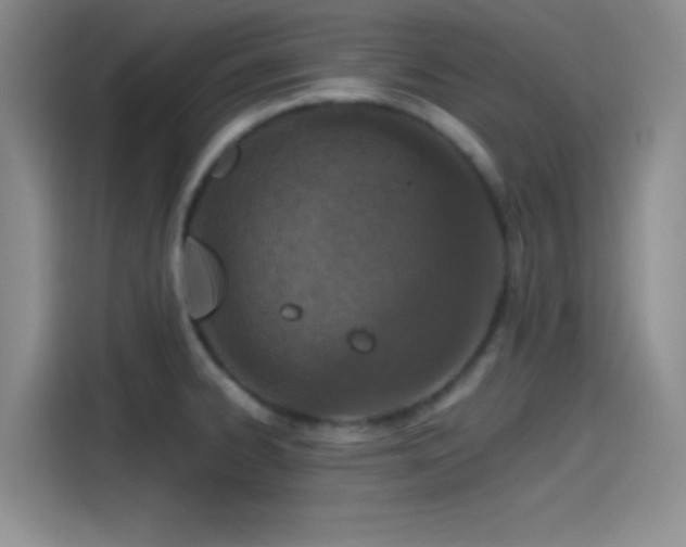 X0000115491334200911131228
