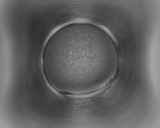 X0000115491335200911131228