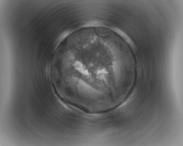 X0000115491337200911131228
