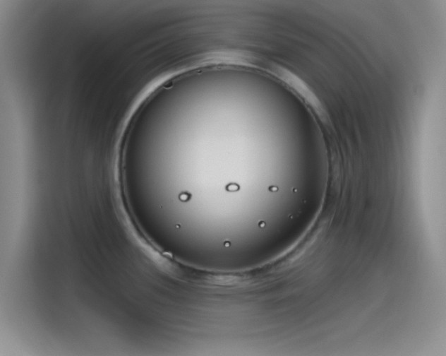 X0000115491339200911131228