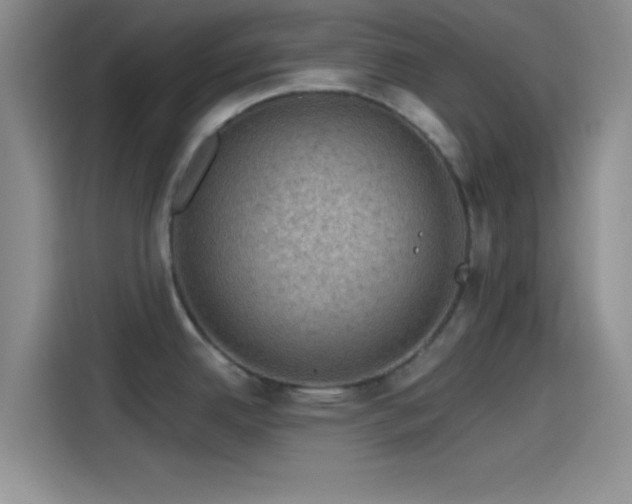 X0000115491342200911131228