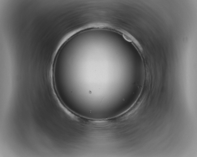 X0000115491343200911131228