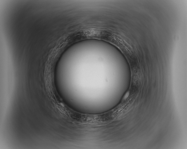 X0000115491345200911131227