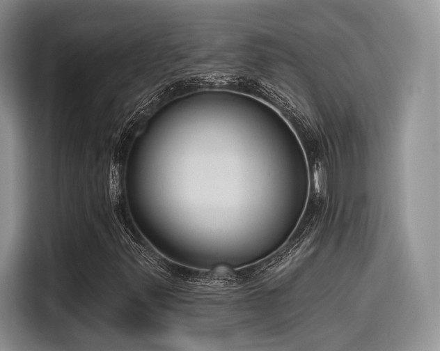 X0000115491347200911131227