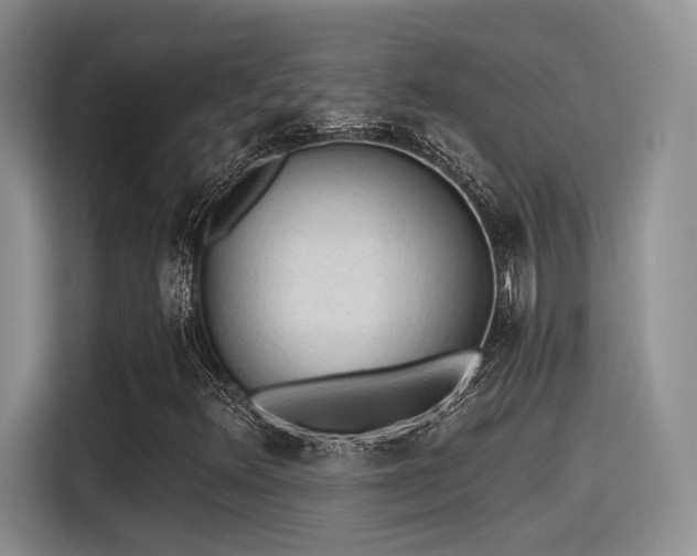 X0000115491348200911131227