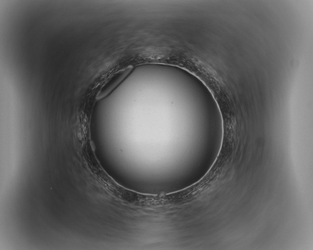 X0000115491349200911131227