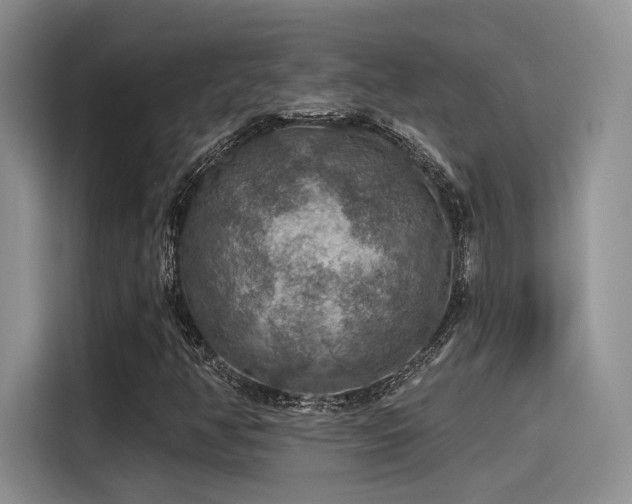 X0000115491350200911131227