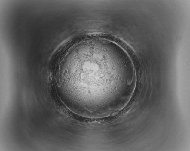 X0000115491351200911131227