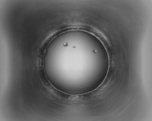 X0000115491352200911131227