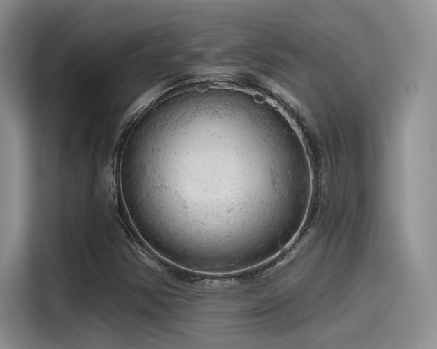X0000115491354200911131227