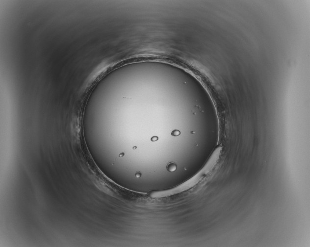 X0000115491355200911131227