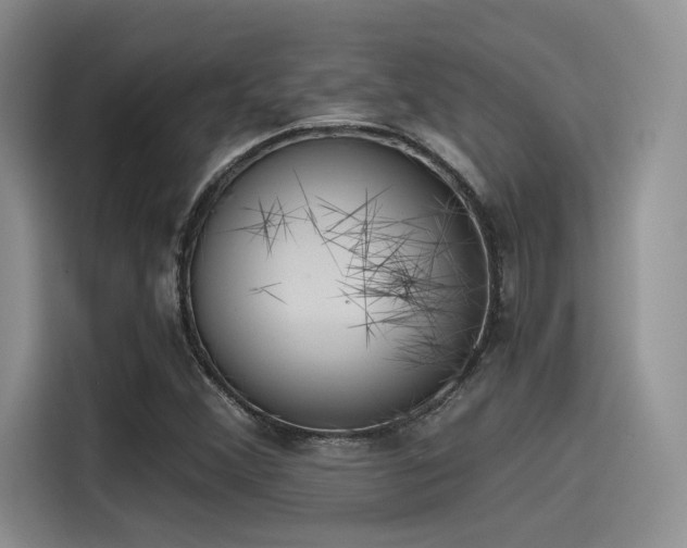 X0000115491356200911131227
