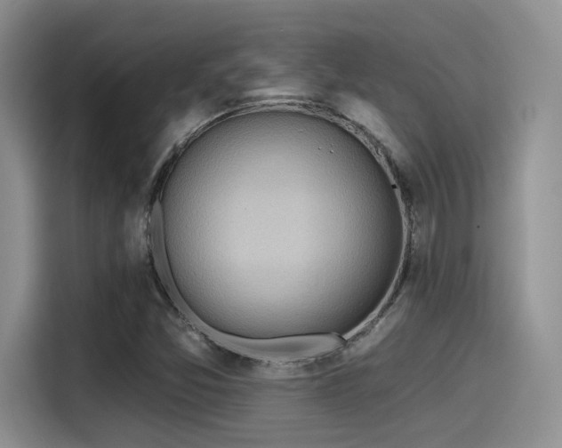 X0000115491357200911131227